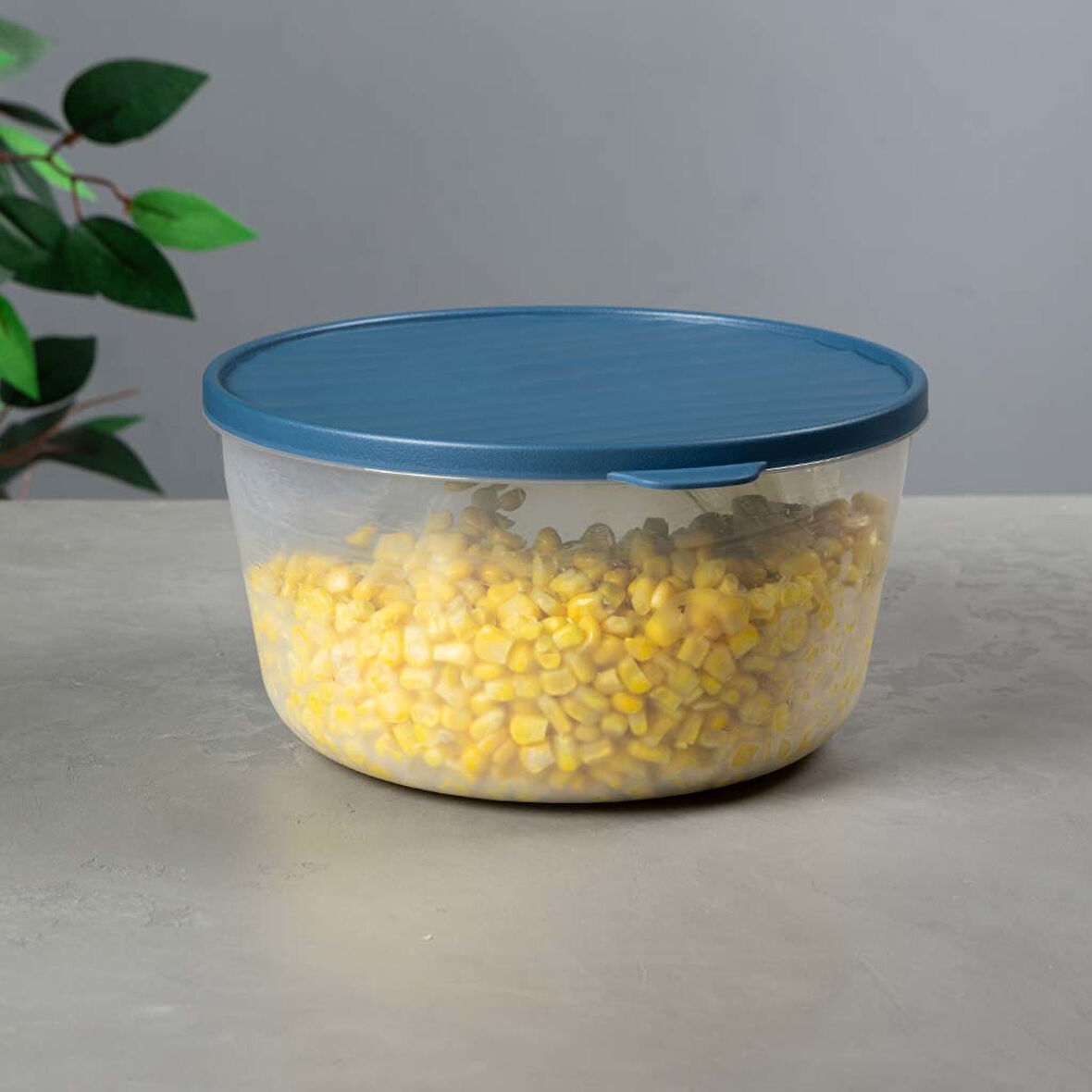 Yuvarlak Saklama Kabı – Kapaklı – Şeffaf, BPA’sız, Sızdırmaz