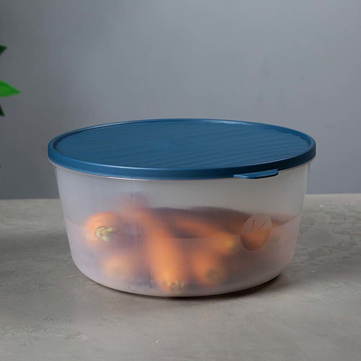 Yuvarlak Saklama Kabı – Kapaklı – Şeffaf, BPA’sız, Sızdırmaz