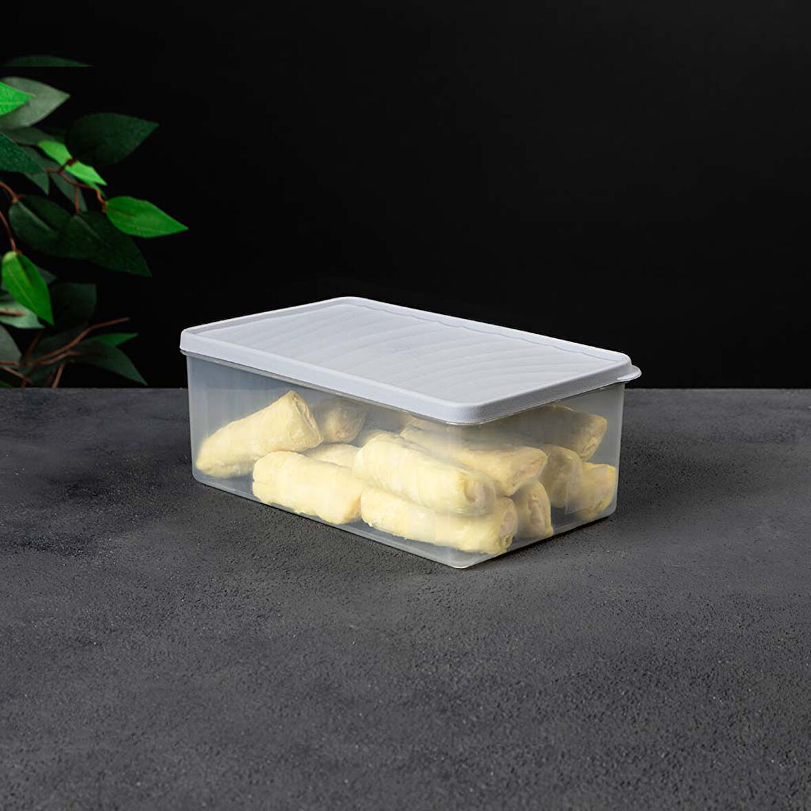 Derin Dondurucu Saklama Kabı – Kapaklı – Şeffaf, BPA’sız, Sızdırmaz