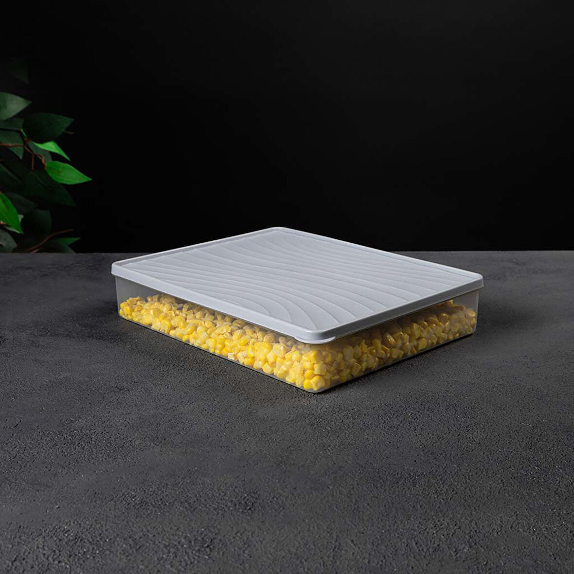 Derin Dondurucu Saklama Kabı – Kapaklı – Şeffaf, BPA’sız, Sızdırmaz