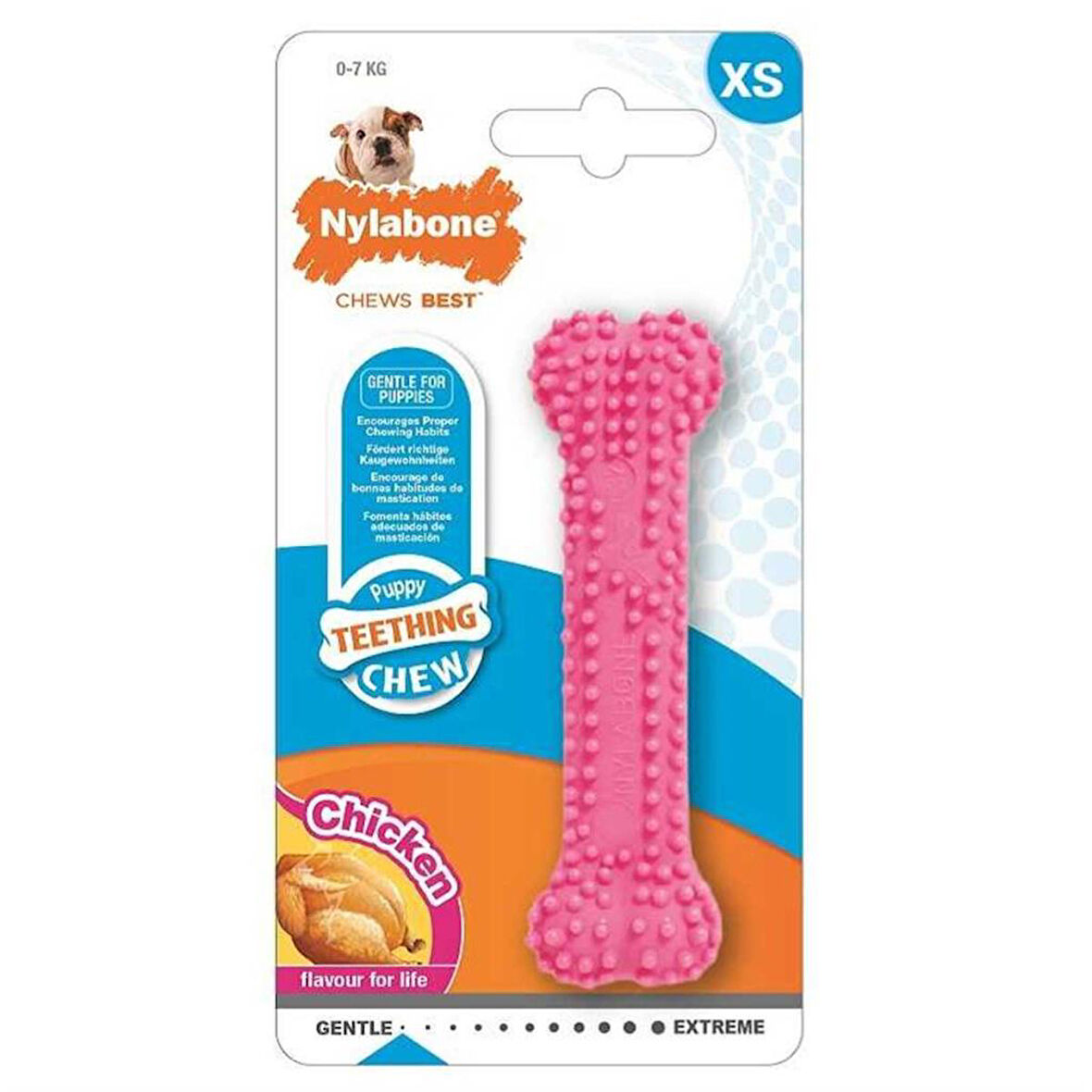 Nylabone Tavuk Aromalı Yavru Çiğneme Kemiği XSmall