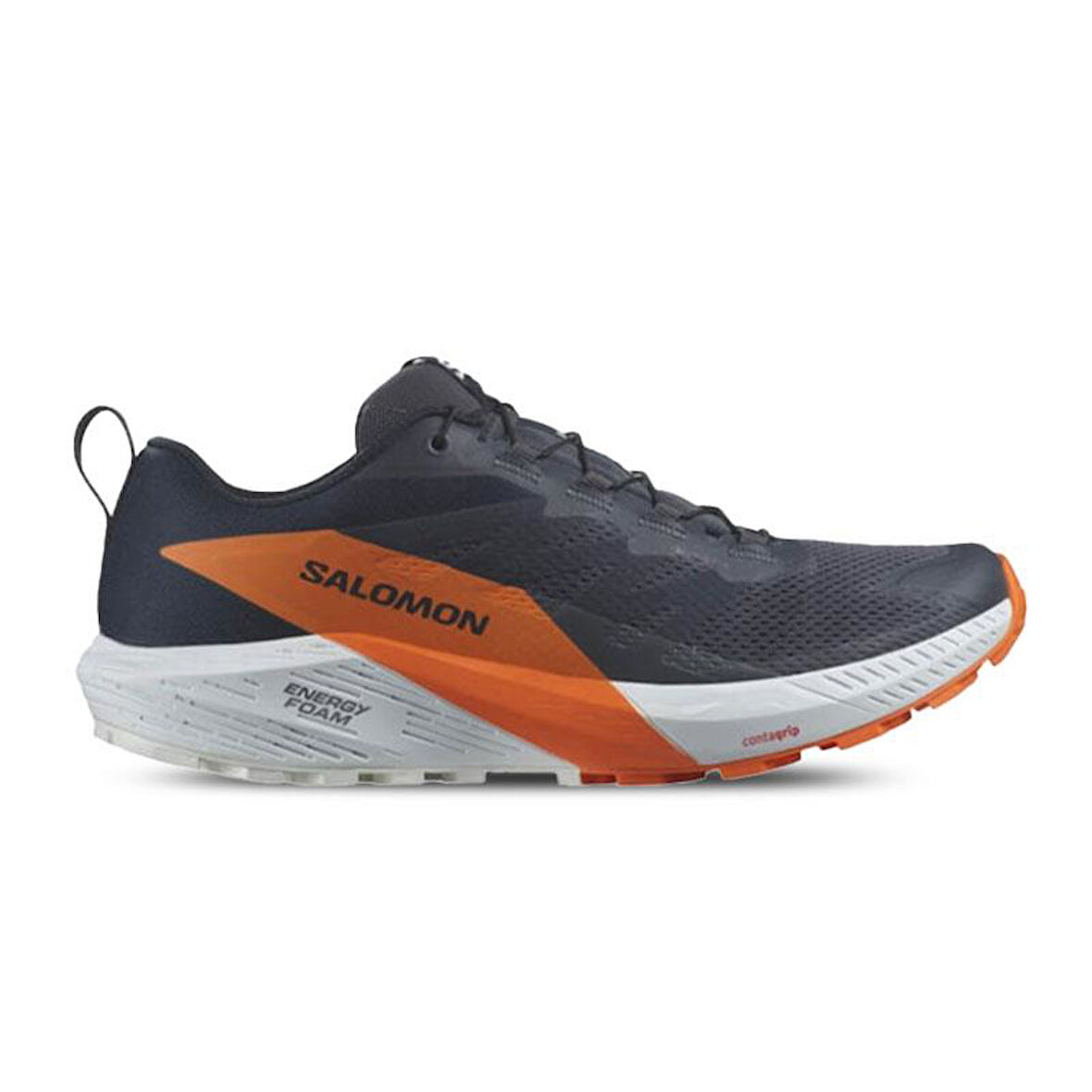 Salomon Sense Rıde 5 Gtx Erkek Outdoor Ayakkabı L47459400 Mavi