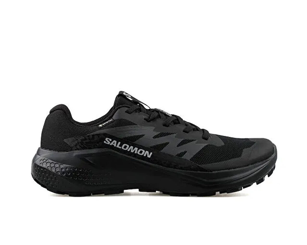 Salomon Alphaglide Gtx Erkek Koşu Ayakkabı L47802100 Renkli