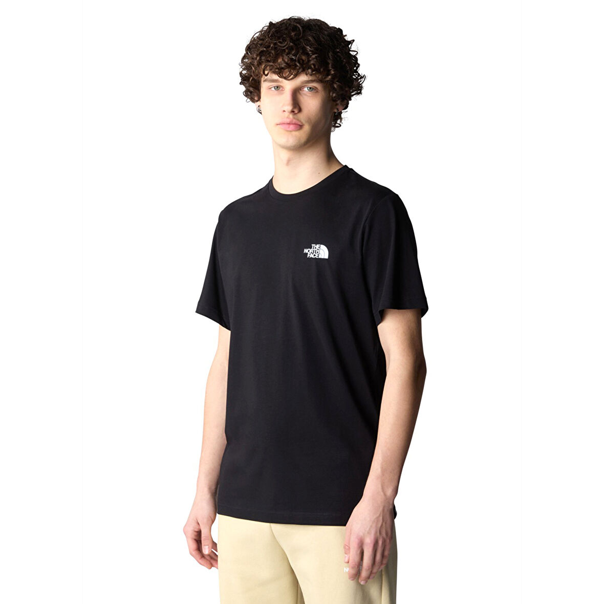 M Biner Graphic 4 Erkek Siyah Outdoor T-Shirt NF0A894ZJK31