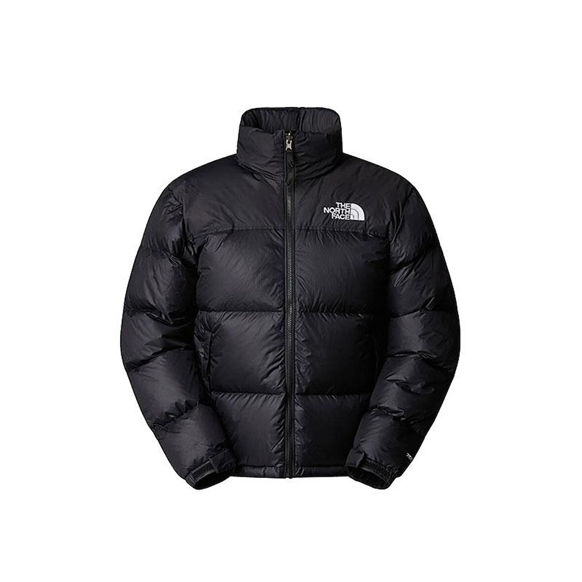 M 1996 Retro Nuptse Jacket Erkek Ceket NF0A3C8D4G31