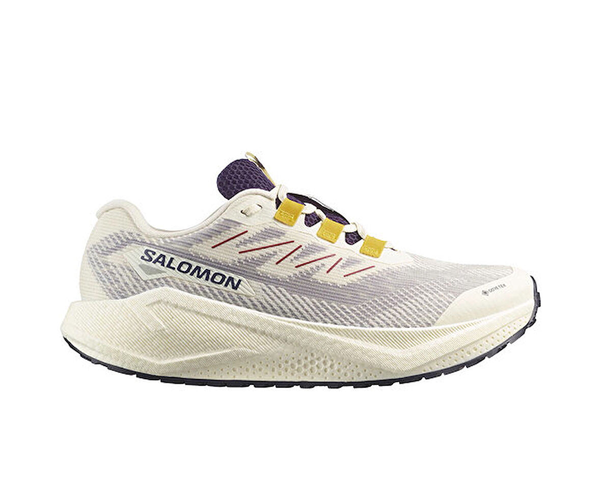 Salomon Aero Blaze 3 Grvl Gore-Tex Erkek Outdoor Koşu Ayakkabısı L47953200 Beyaz