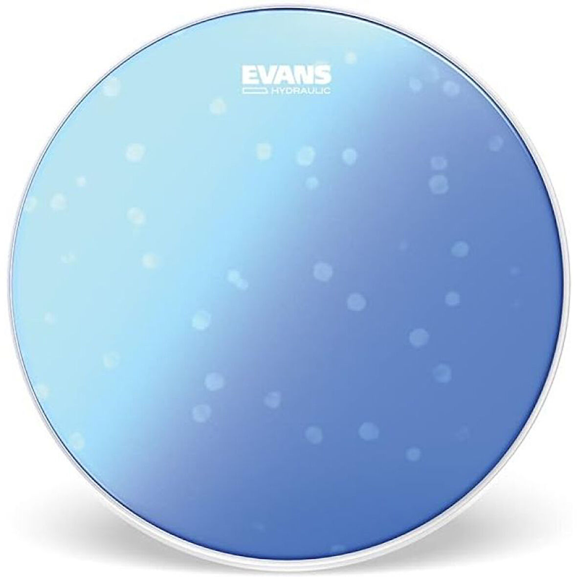 EVANS B13HB Trampet Derisi