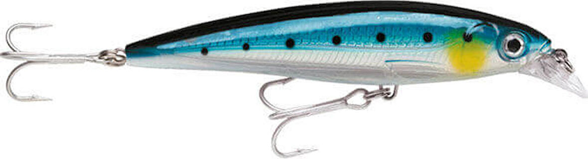 Rapala X-Rap Saltwater Sahte Balığı BSRD 120MM