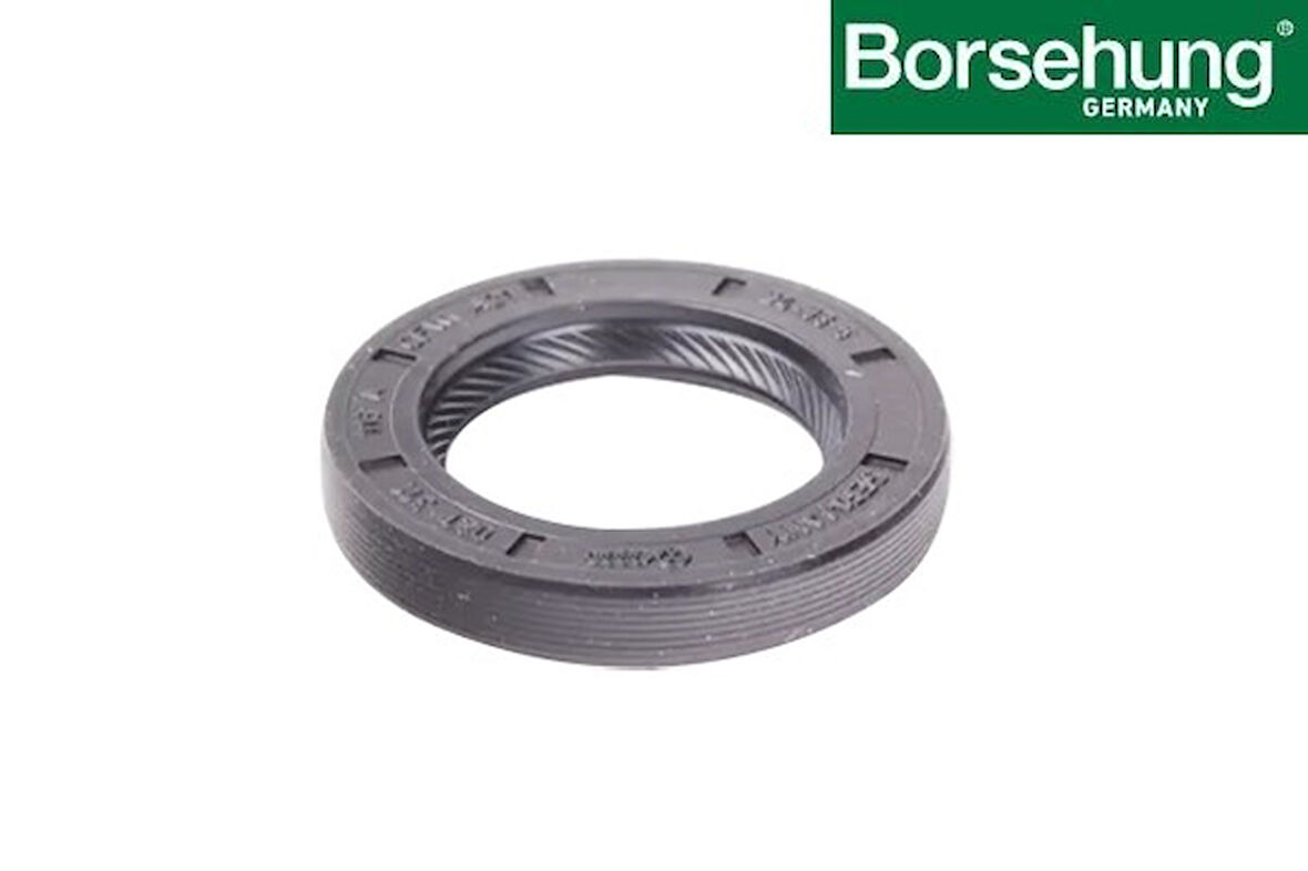 02T311113A ŞANZİMAN KEÇESİ̇ - FABİA-BORA-ARONA-A1