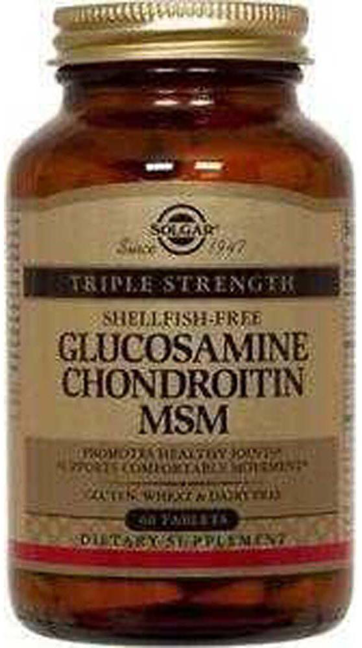 Solgar Glucosamine Chondroitin Msm 60 Tablet