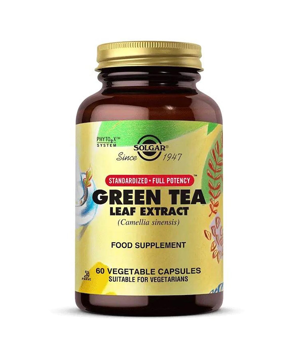 Solgar Green Tea Leaf Extract 60 Tablet
