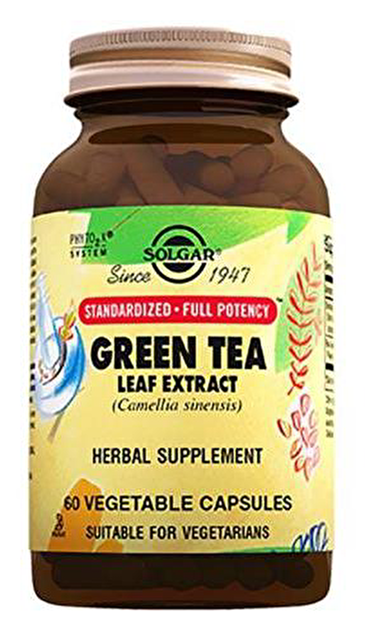 Solgar Green Tea Leaf Extract 60 Tablet