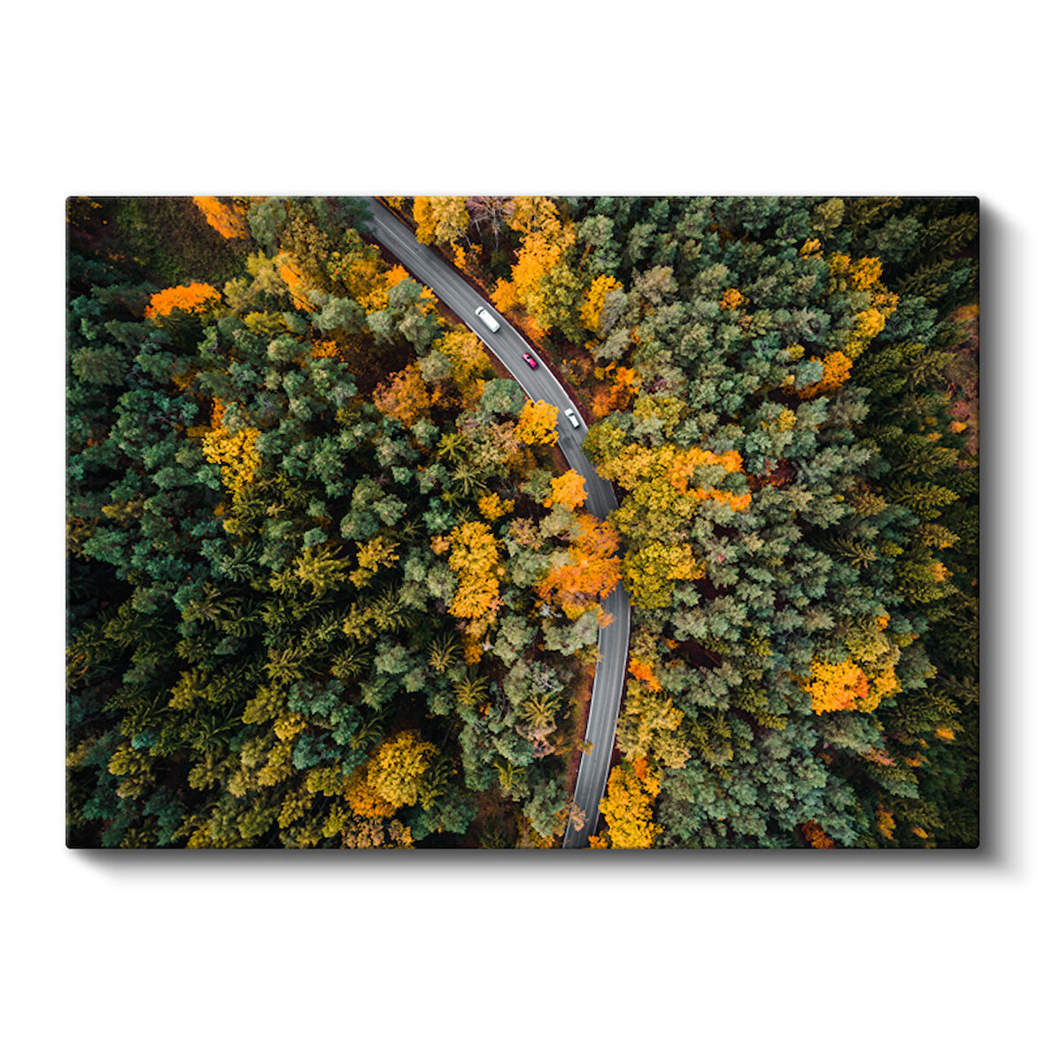 Sonbahar Orman Yolu Drone Manzara Kanvas Tablo