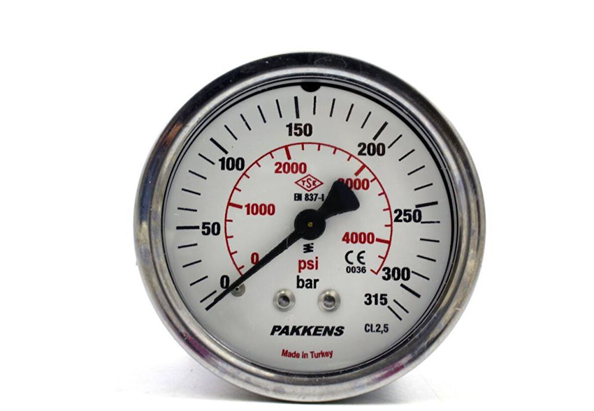 Pakkens 0-315 Bar 50 mm Panotipi Arkadan Bağlantılı Kuru Manometre G 1/8 inç