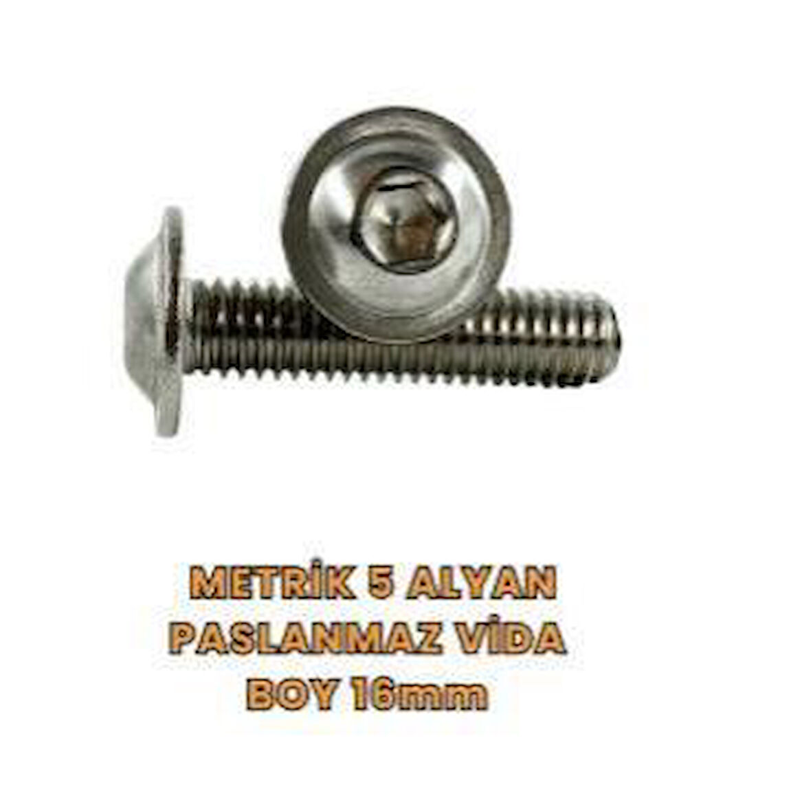 Metrik 5 Alyan Paslanmaz Vida Boy 16mm 25'li Paket