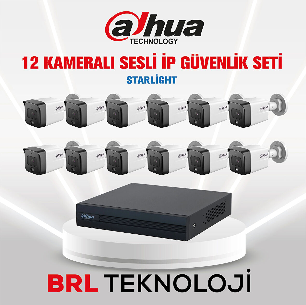 Dahua 12 Kameralı 2 Mp Sesli İp Güvenlik Kamera Seti IPC-HFW1230TC1-SA