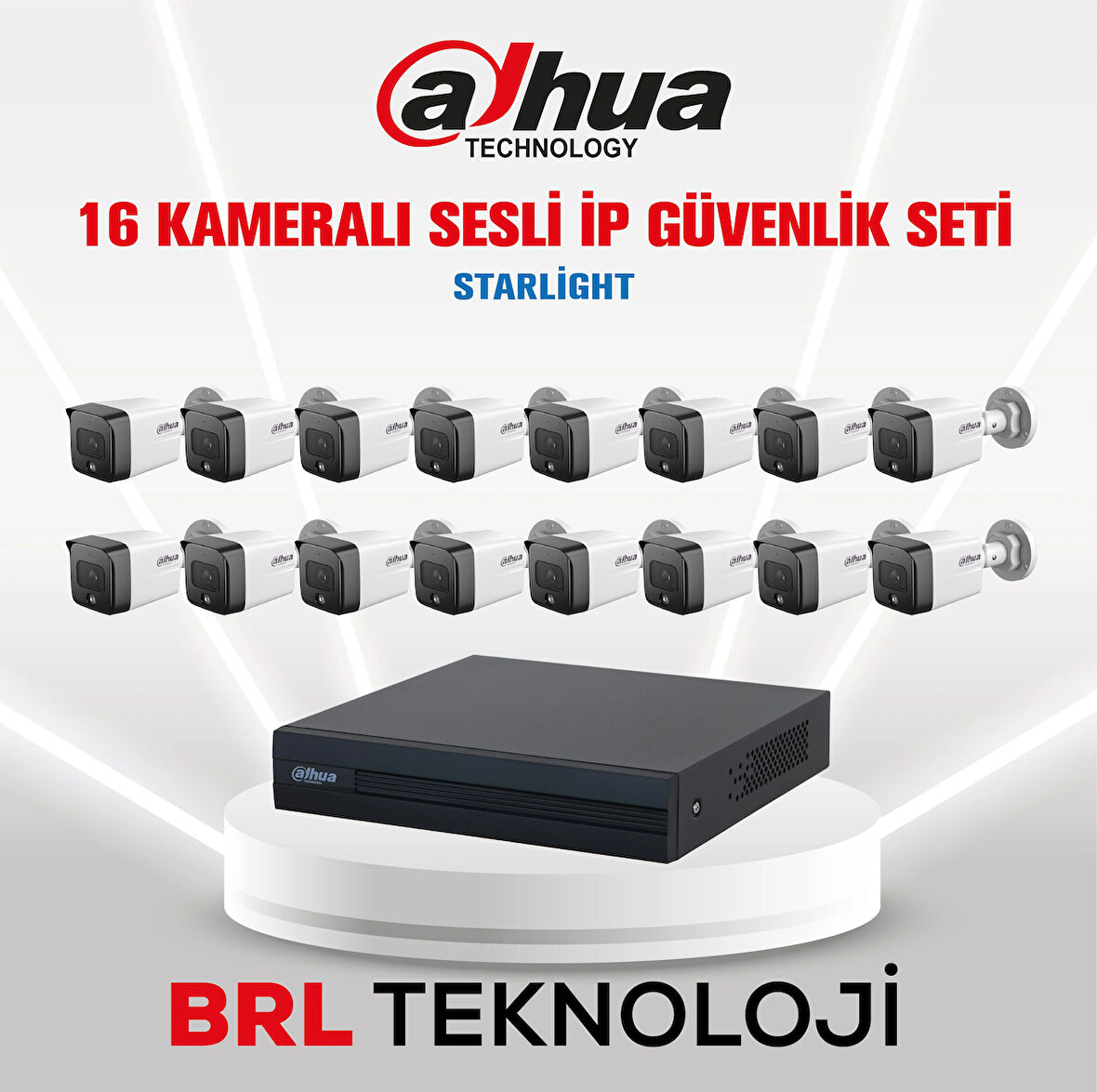 Dahua 16 Kameralı 2 Mp Sesli İp Güvenlik Kamera Seti IPC-HFW1230TC1-SA