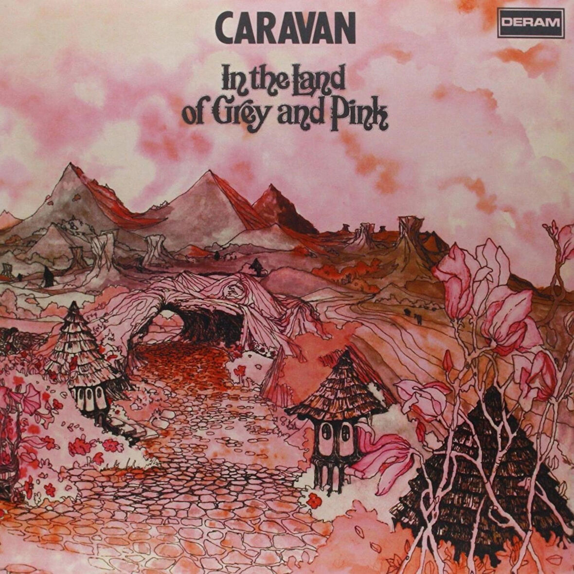 Caravan In The Land Of Grey And Pink (Coloured Vinyl) - Plak 2LP