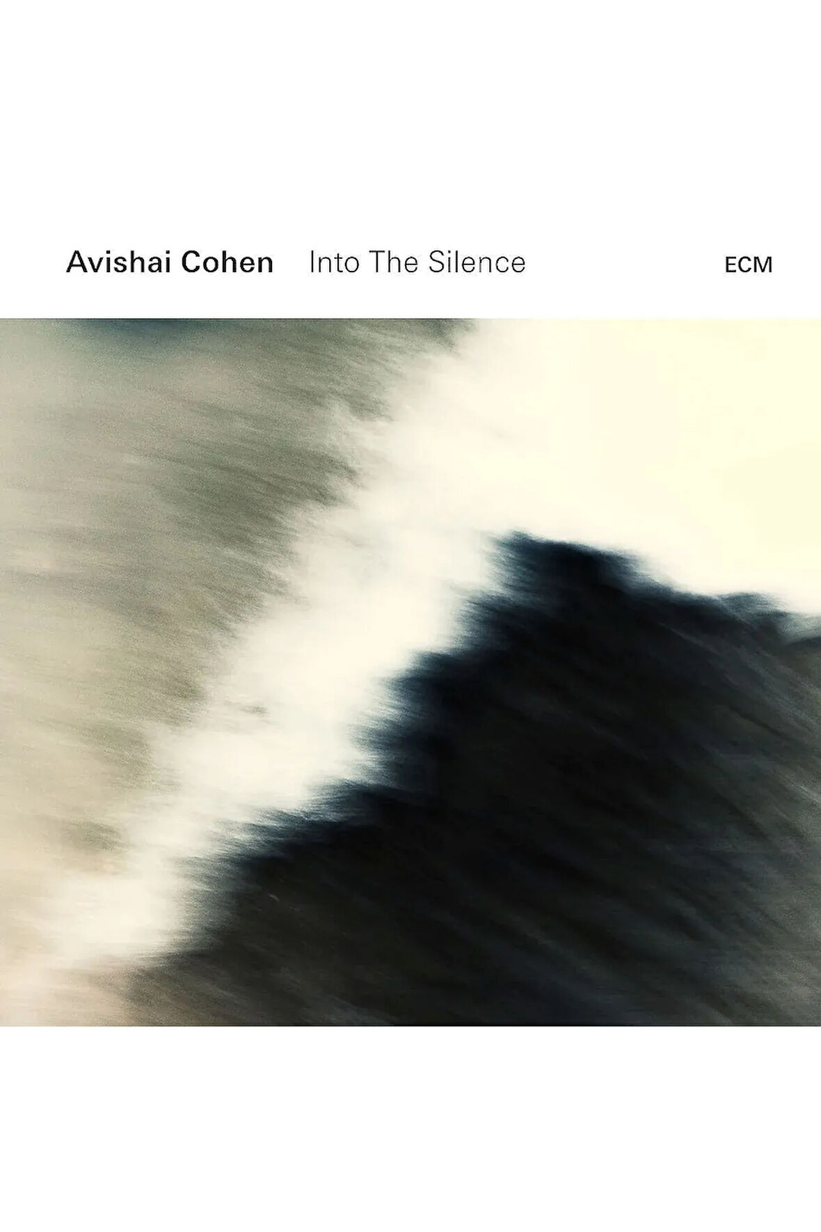 PLAK - AVISHAI COHEN - INTO THE SILENCE