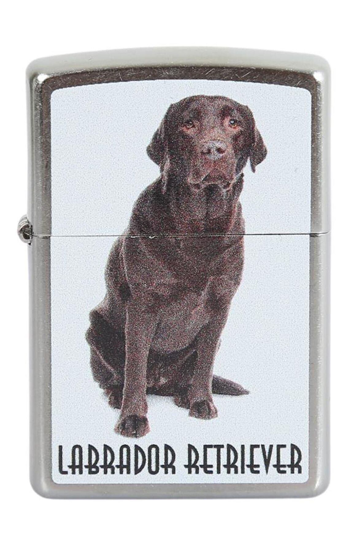 Zippo Çakmak Labrador Retriever