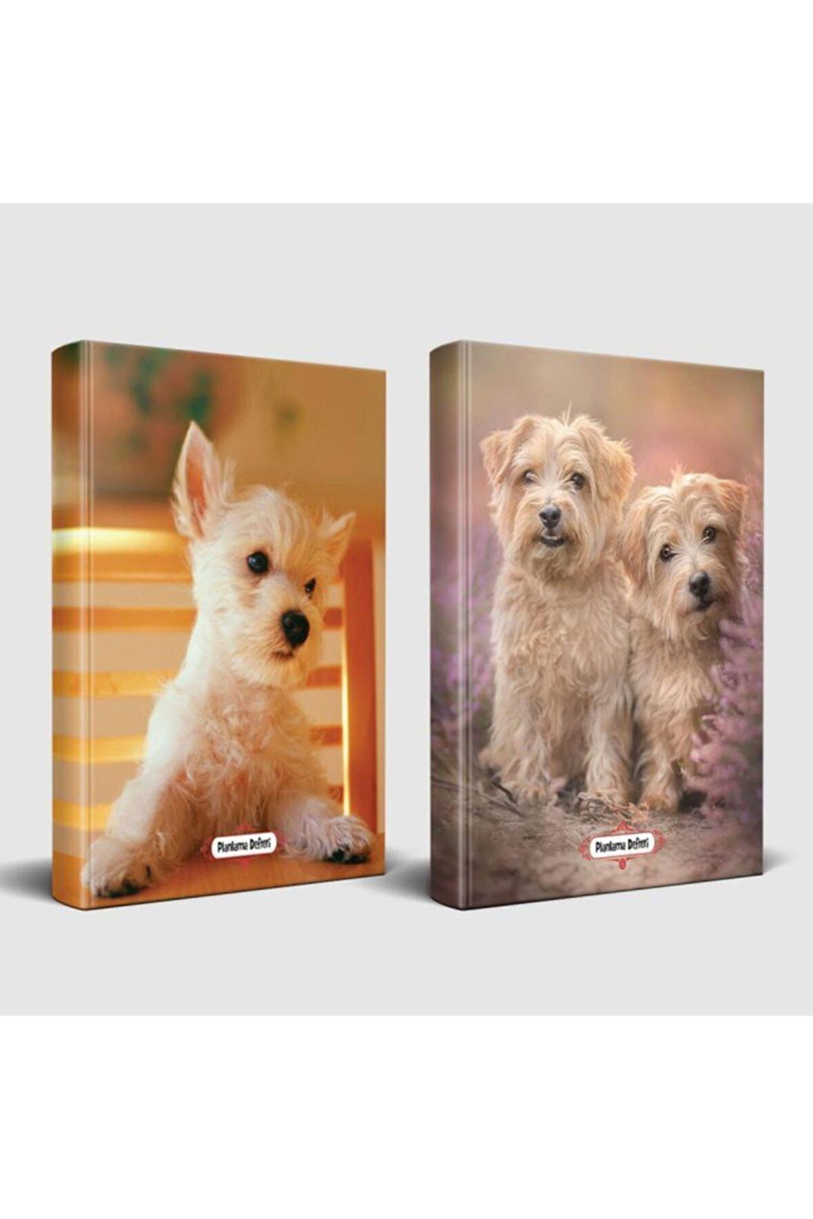 Köpek Temalı Defter Seti Beyaz İkili Ve Pamuk Şeker