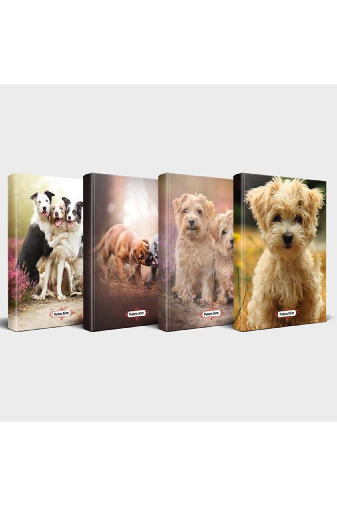 Köpek Temalı Defter Seti 4'Lü V3