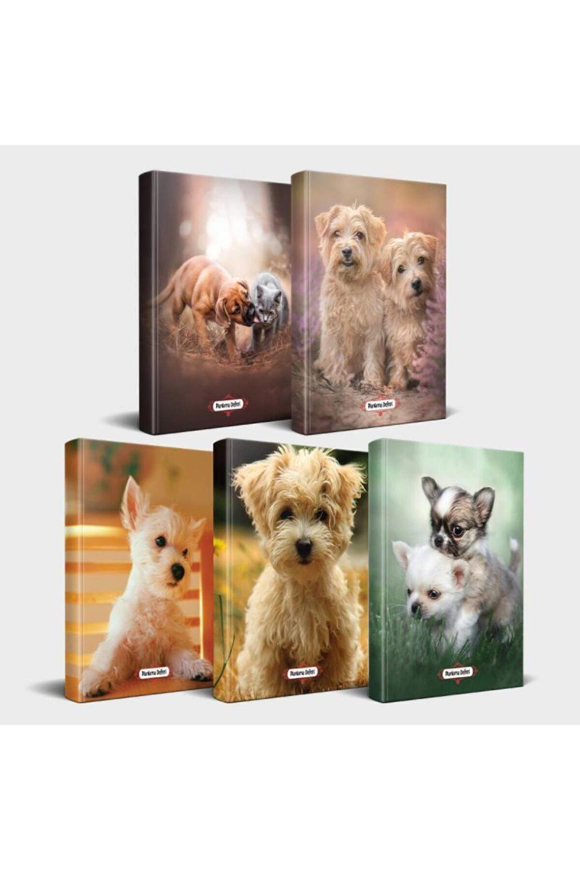 Köpek Temalı Defter Seti 5'Li V1