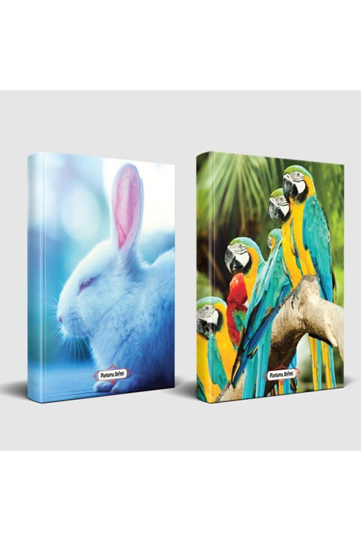 Sevimli Hayvanlar Defter Uykucu Tavşan Ve Papağan Ailesi