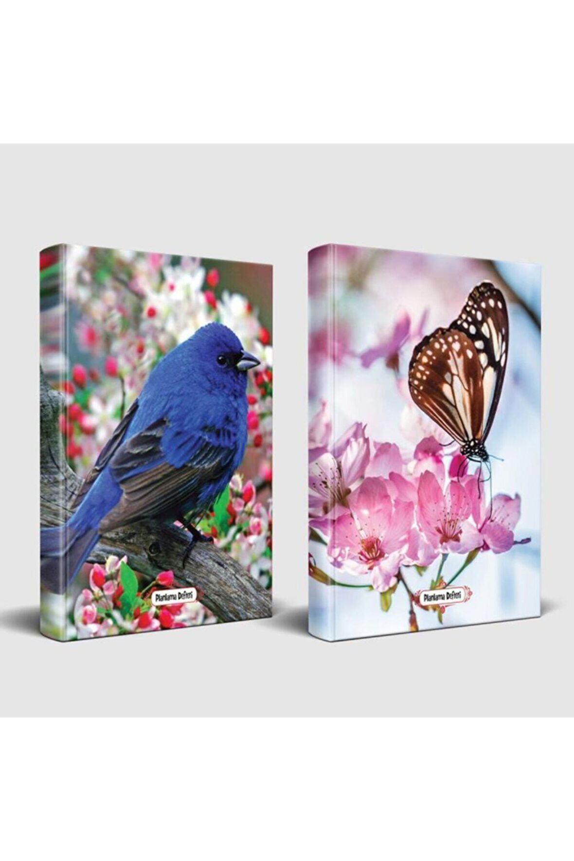Sevimli Hayvanlar Defter Kuş Bakışı Ve Kelebek Etkisi