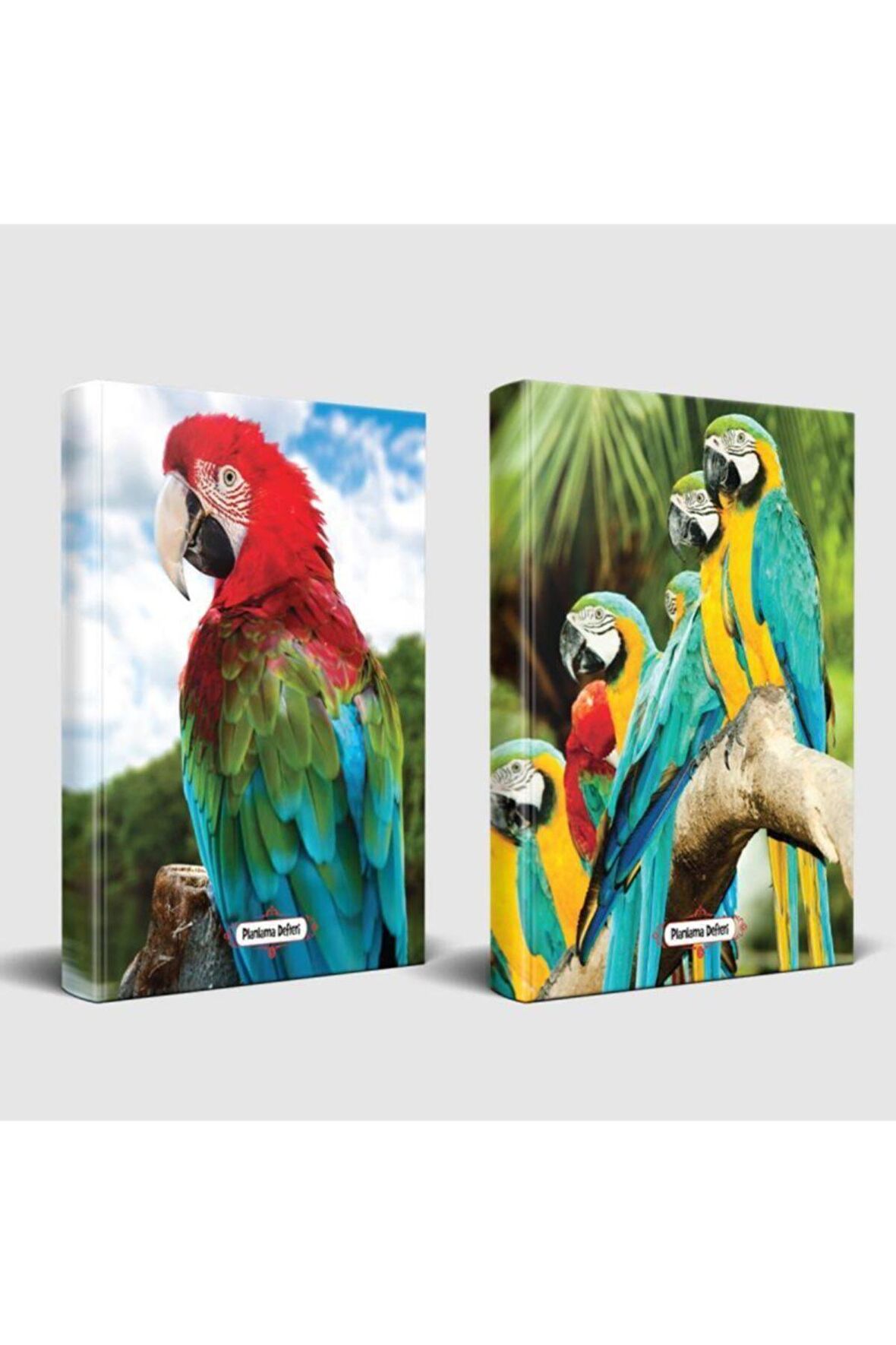 Sevimli Hayvanlar Defter Gökkuşağı Ve Papağan Ailesi
