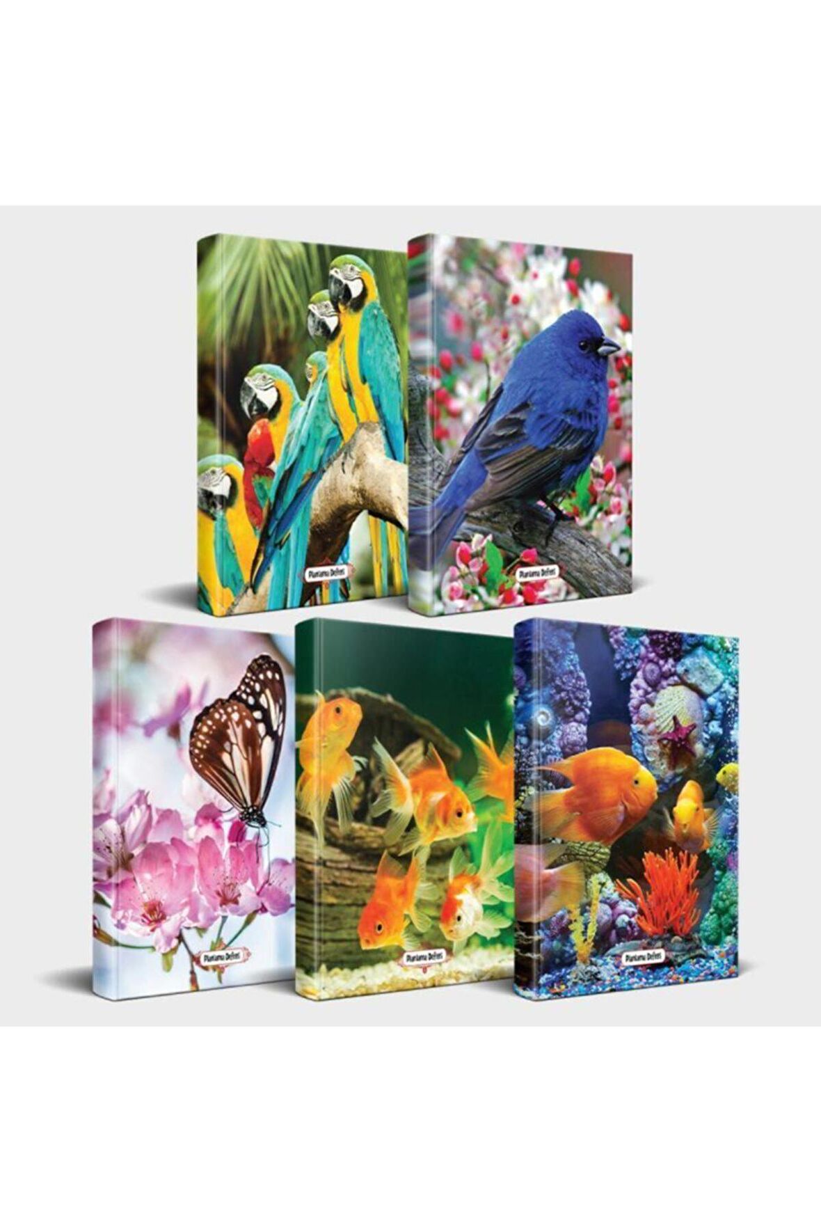 Sevimli Hayvanlar Defter Seti 5'Li V1