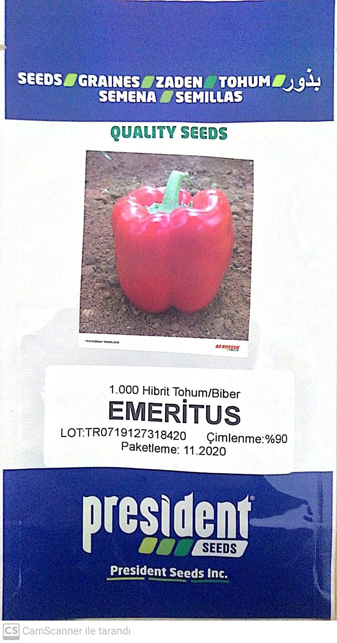 Emeritus F1 (Hibrit Kaliforniya Biber Tohumu)(1000 adet)