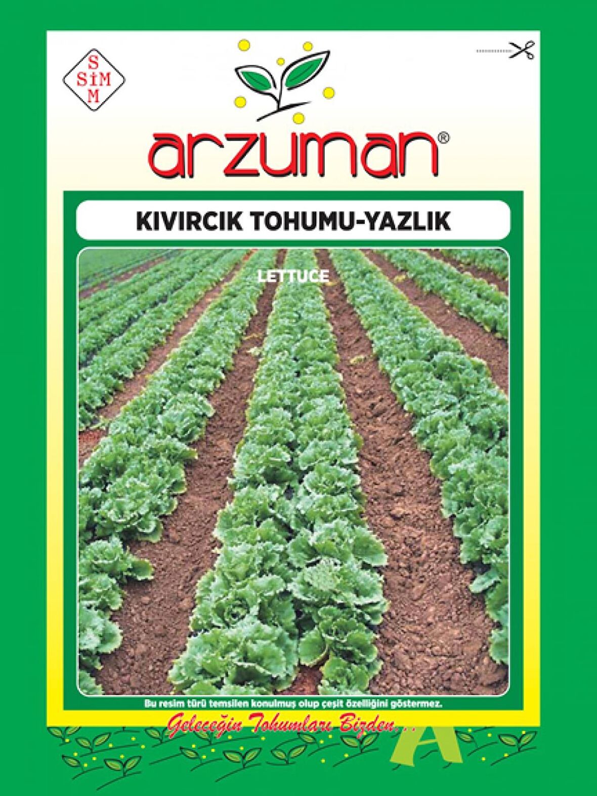 Yazlık Marul - Kıvırcık Tohumu   (10 gr)