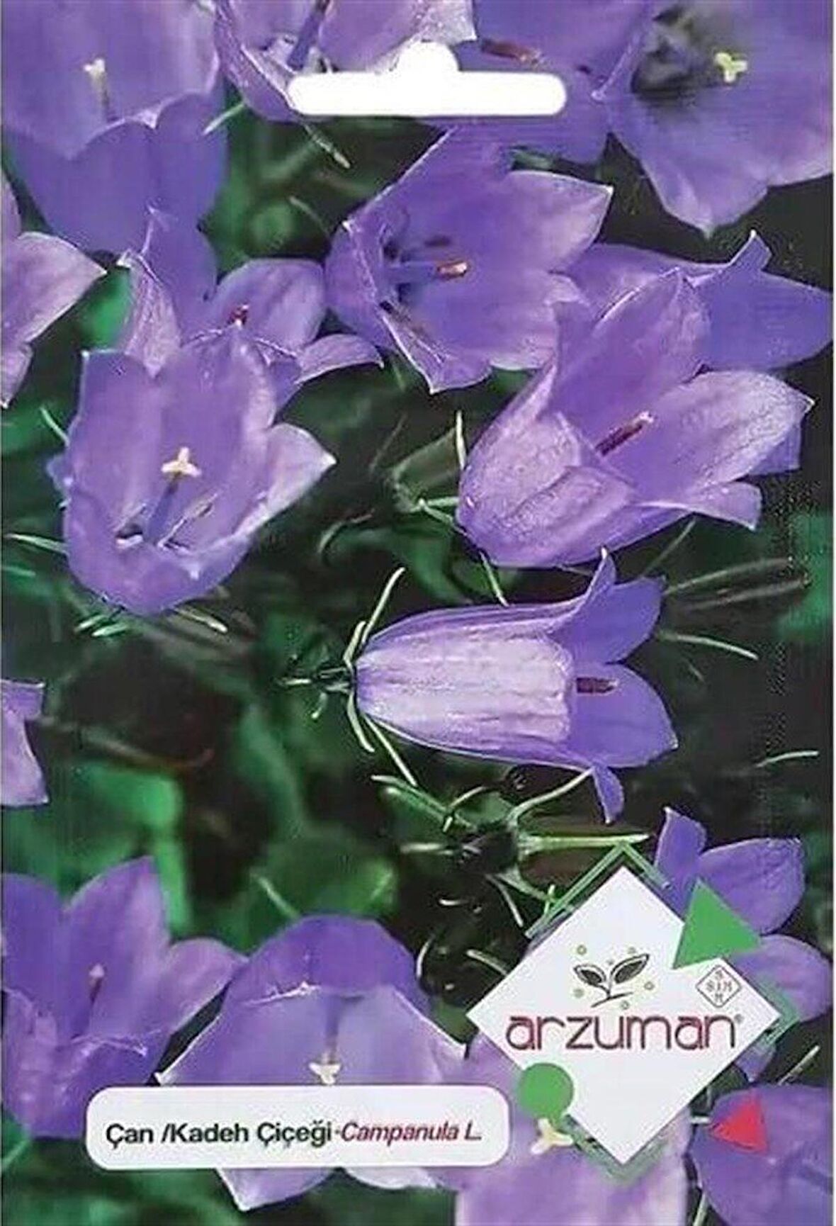 Çan/Kadeh Çiçeği Tohumu (100 Adet)