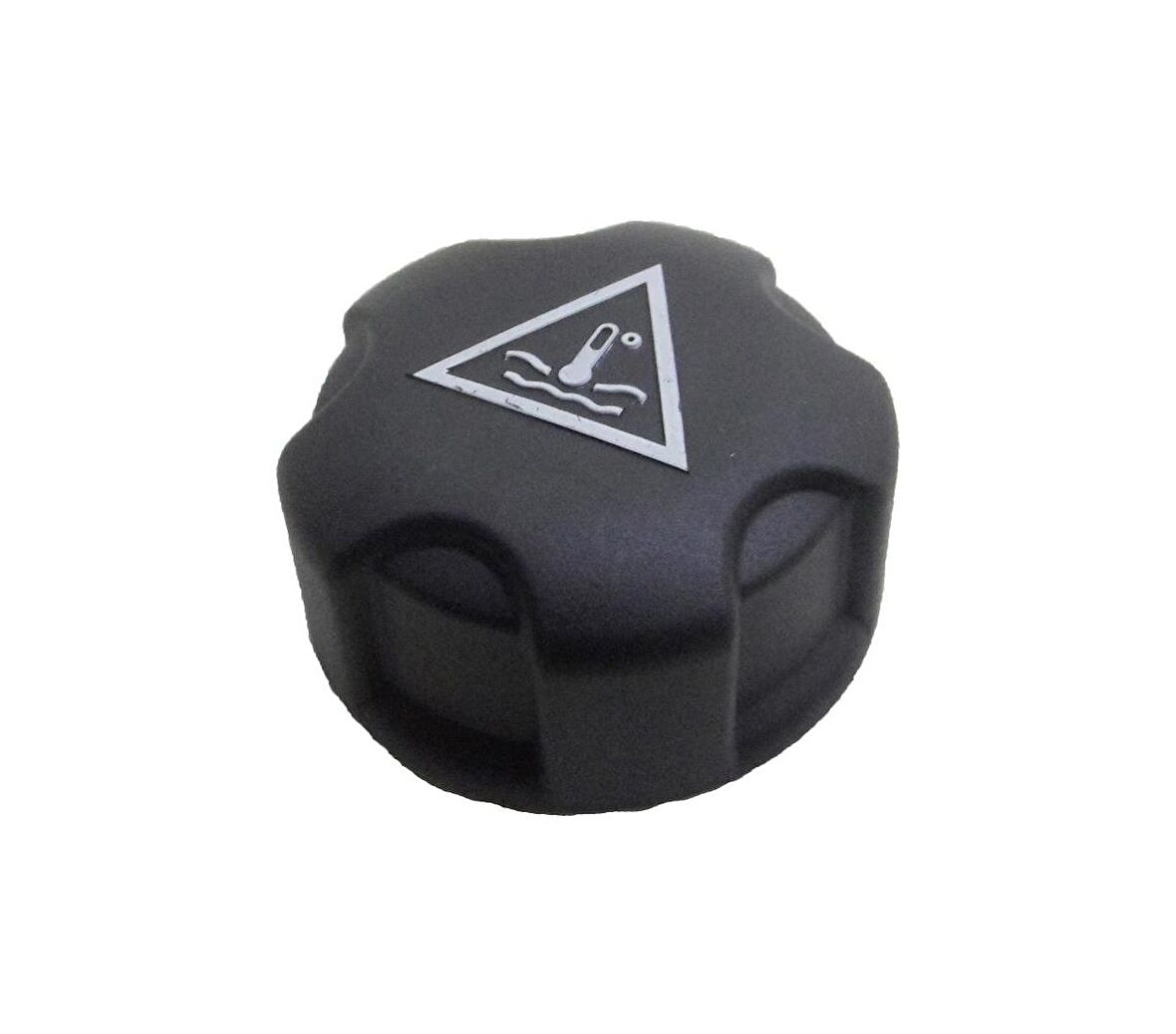 BMW E70 Radyatör Genleşme Depo Kapağı (17117639024)