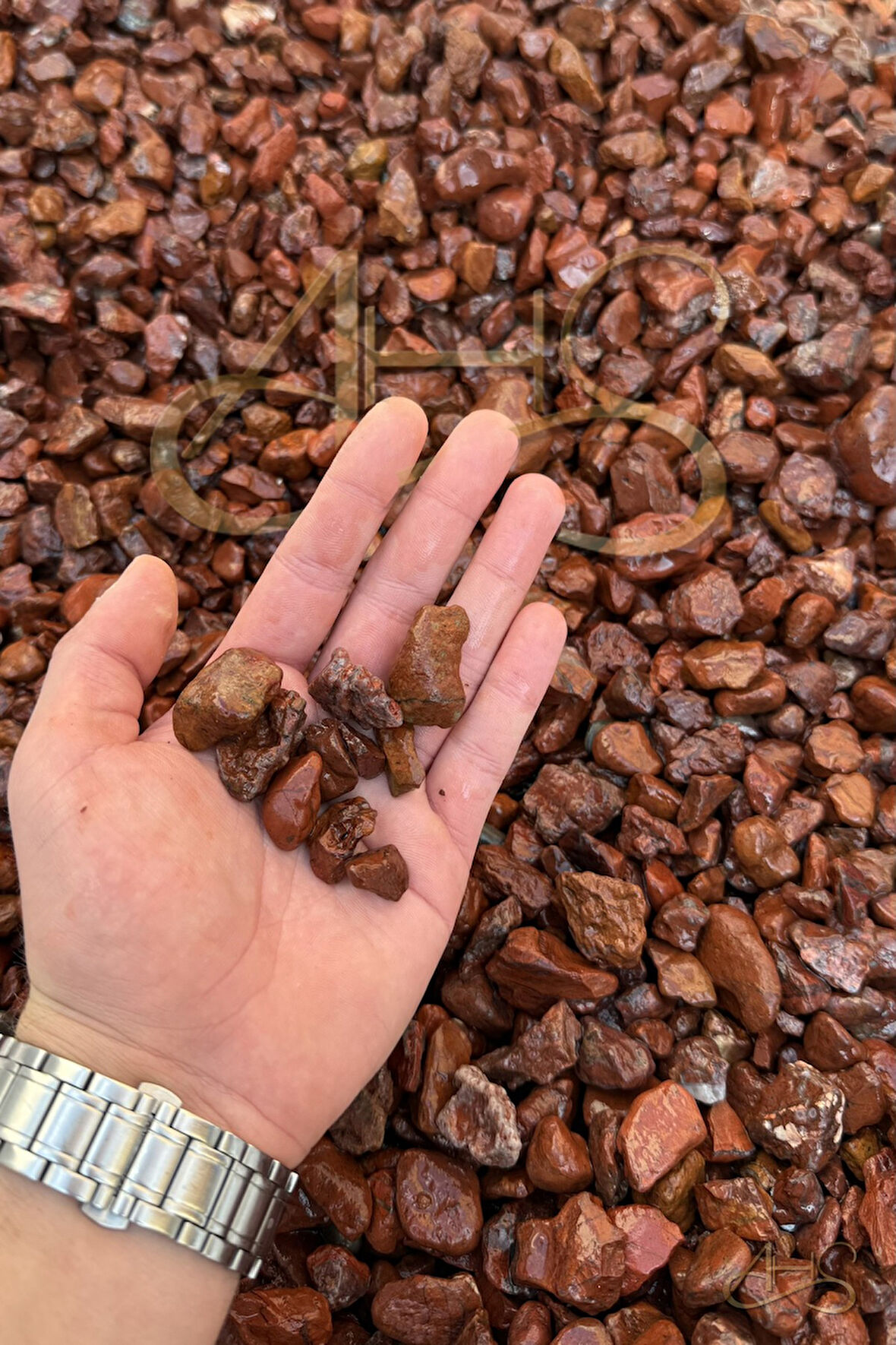 Kırmızı Bordo Dolomit Çakıl Taşı 1-3 Cm 5 Kg Dekoratif Bahçe Peyzaj Saksı Akvaryum Teraryum 