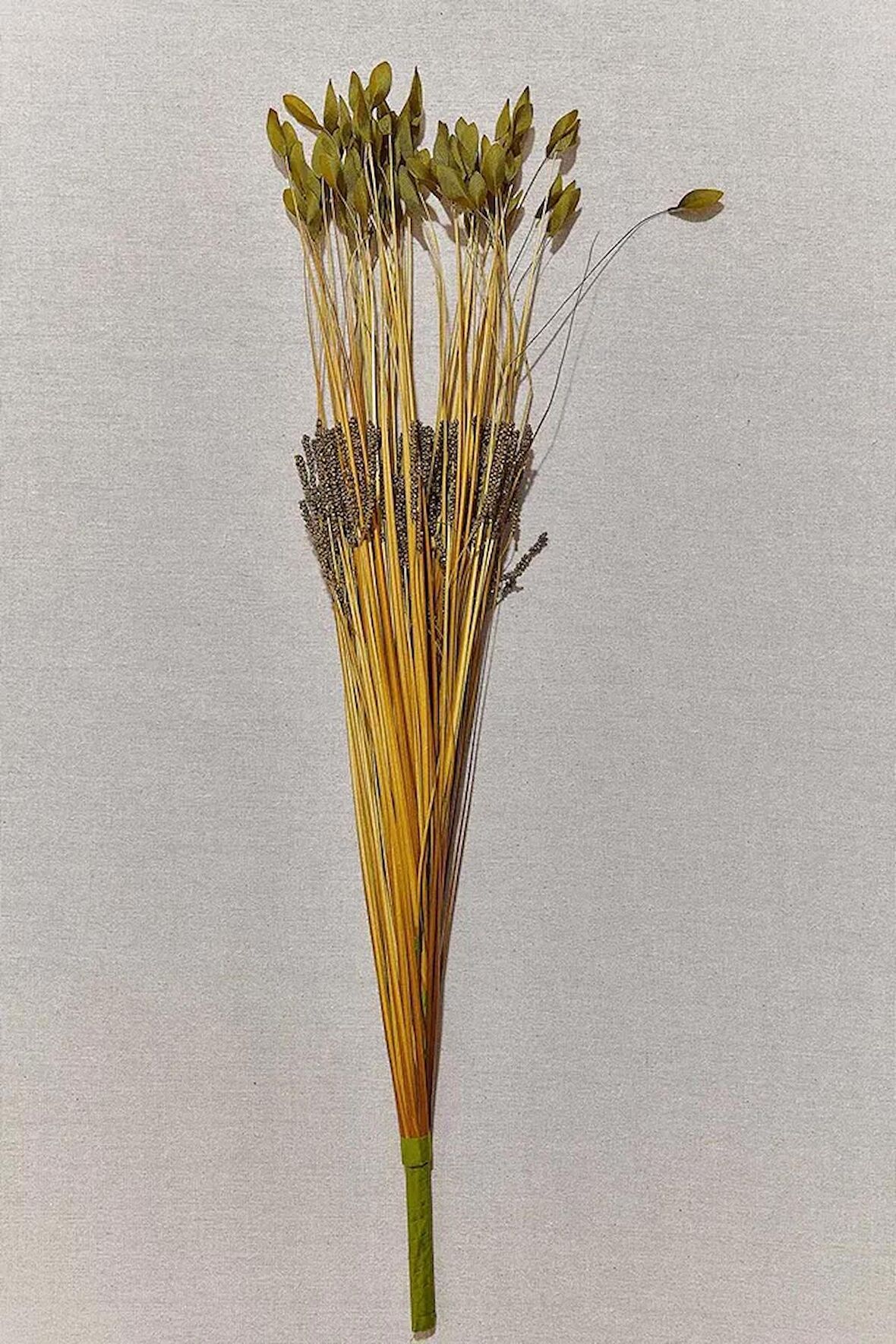 Paşabahçe Grass 75 Cm