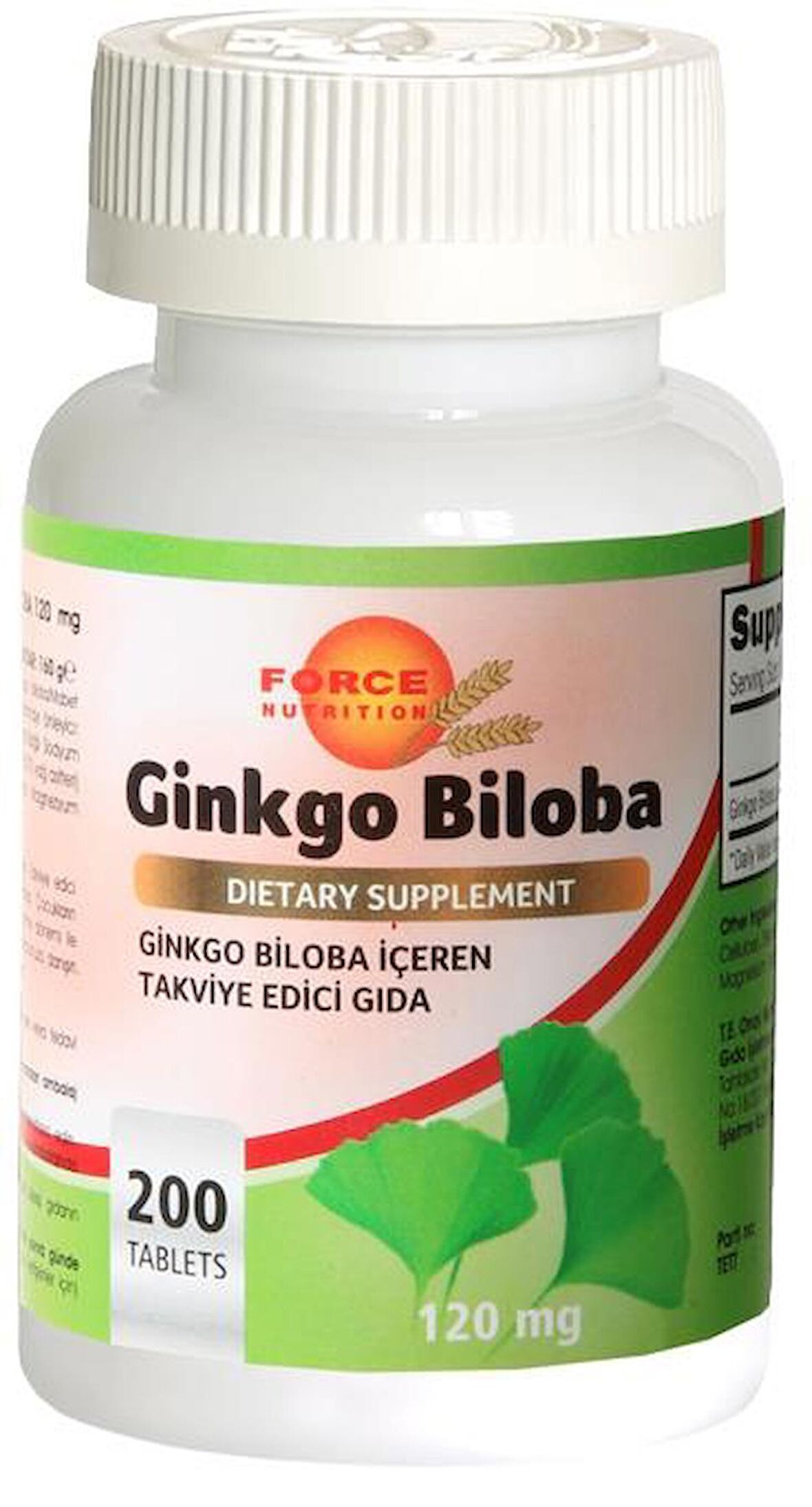 120 Mg Ginkgo Biloba 200 Tablet