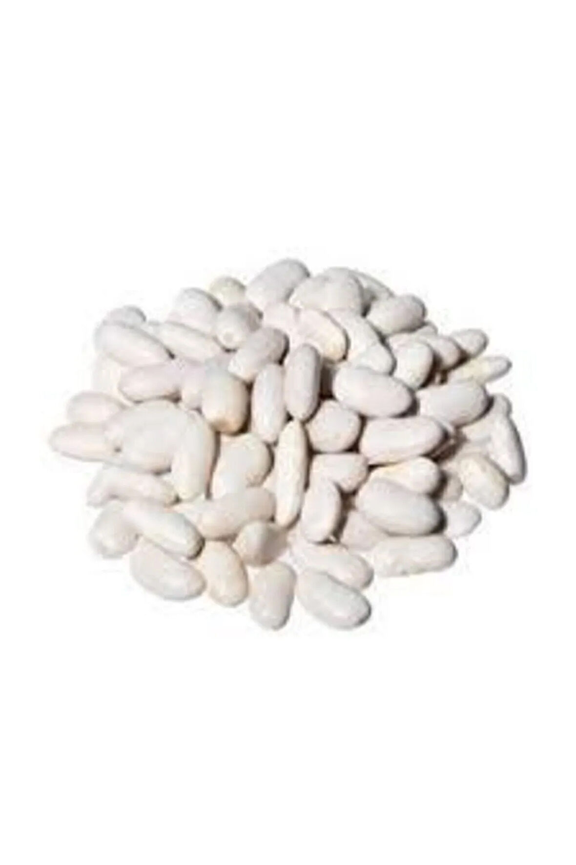 100 Adet Beyaz Fasulye Tohumu