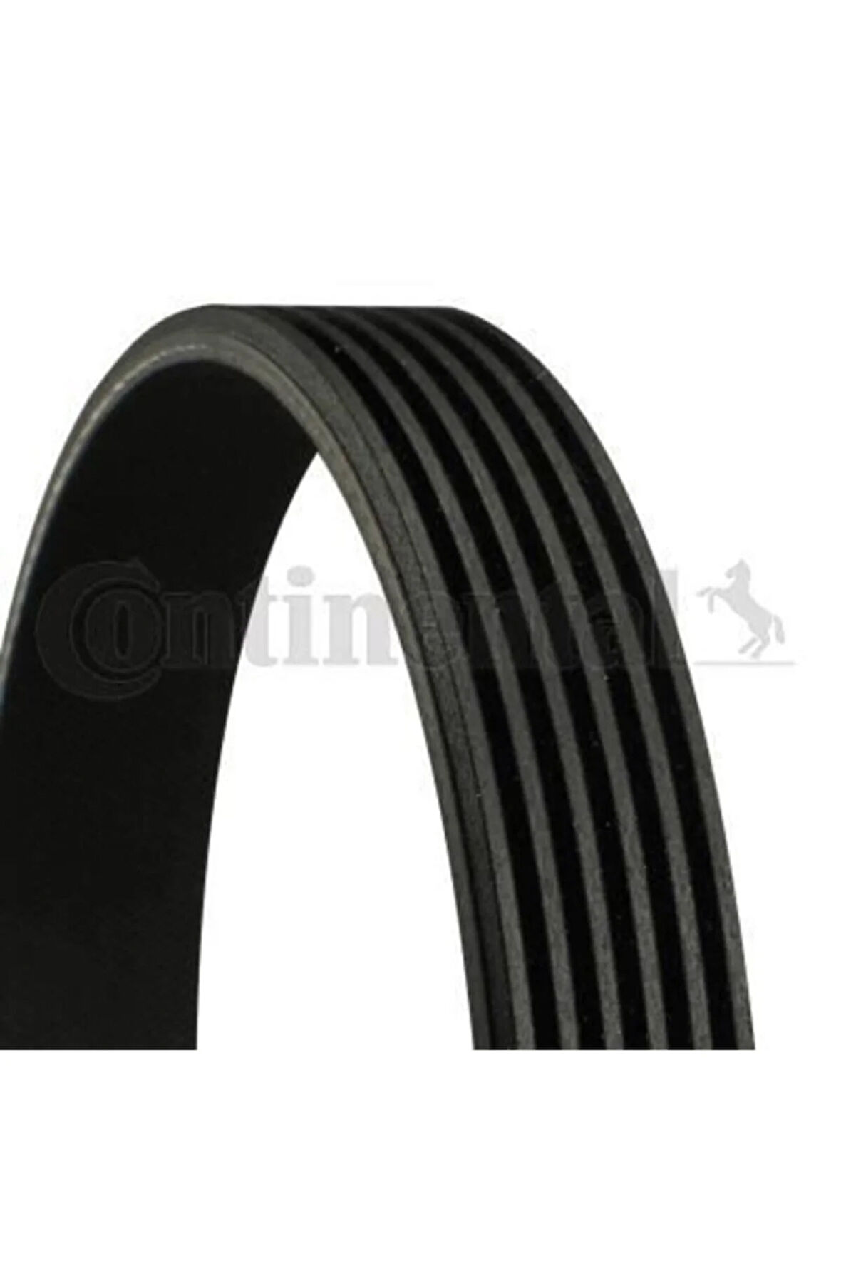 Kanallı Kayıs Palıo-albea -doblo 1.3 Jtd 16v 04-astra H 1.3 Cdtı/focus Iı 1.8 06- Contı 6pk1310