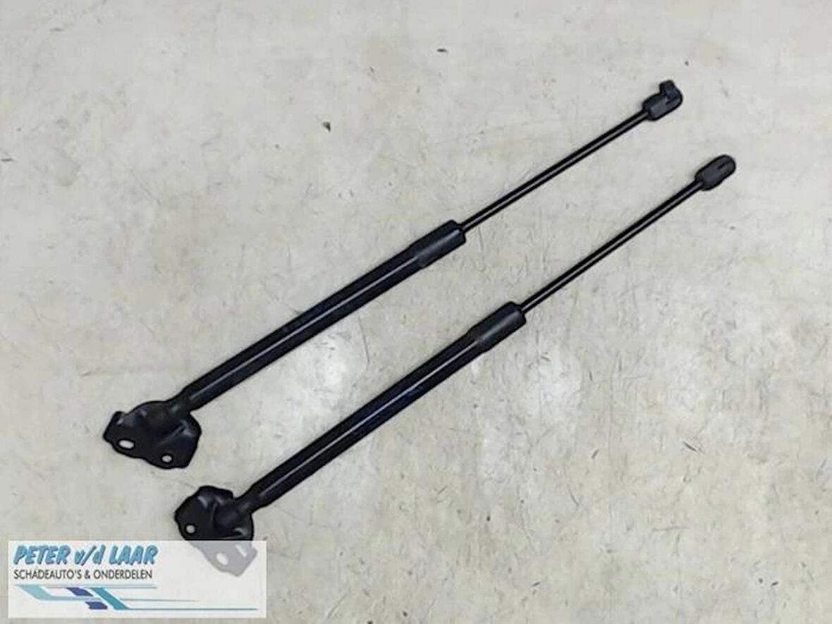 Bagaj Amortısörü Renault Megane Iıı Hatchback (Bz0_) Bm 07- (Oem No: 904510001R)