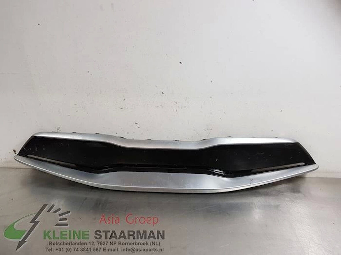 Panjur Stonıc 18-21 Ön (Krom Çıta) (Oem No: 86350-H8410)