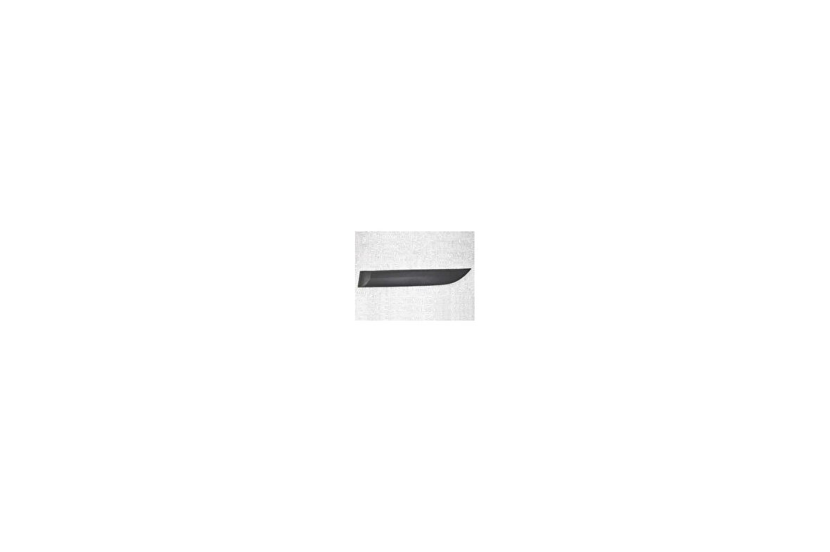 Kapı Bandı Fluence 09-16 Arka Sol (Klipsli) (Oem No: 828770007R)