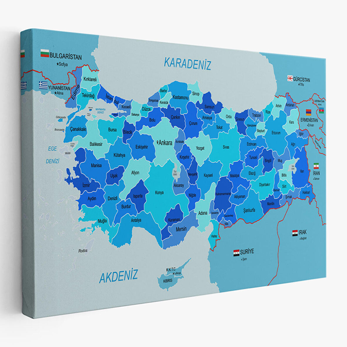 Türkiye Haritası Kanvas Tablo Sınır Komşulu Eğitici Dekoratif Tablo 3086