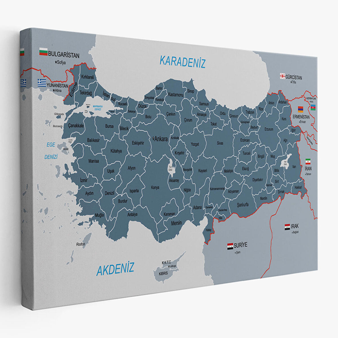 Türkiye Haritası Kanvas Tablo Sınır Komşulu Eğitici ve Öğretici Dekoratif Tablo 3093