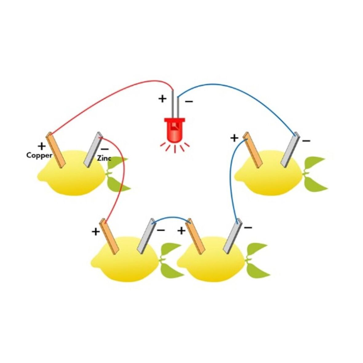 Limon Deney Seti Limondan Elektrik Üretimi Yapım Seti Limon Pili