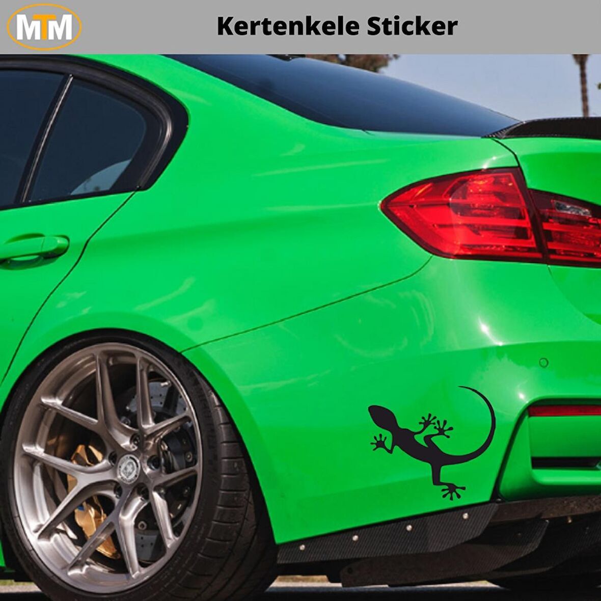 Kertenkele Oto Sticker 15 CM