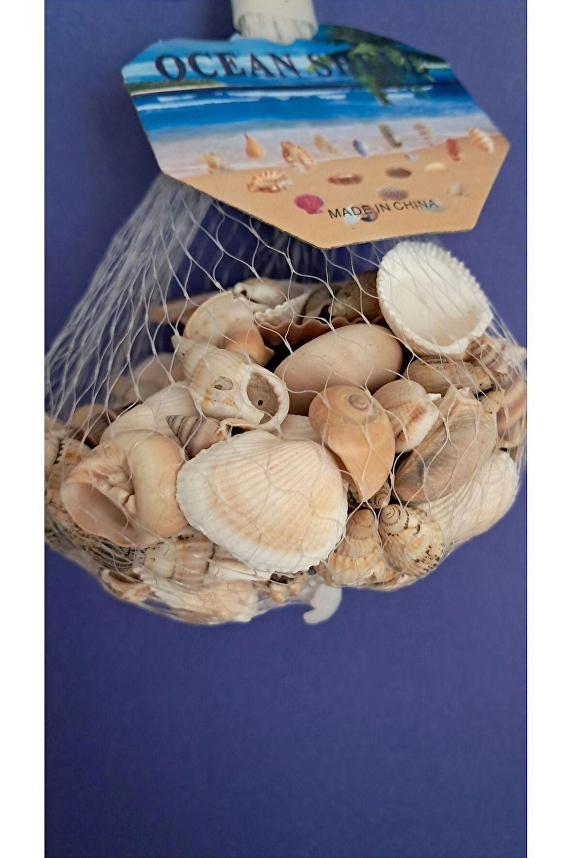 blackleg deniz Kabuğu karışık fileli paket Akvaryum aksesuarı dekoratif süsleme