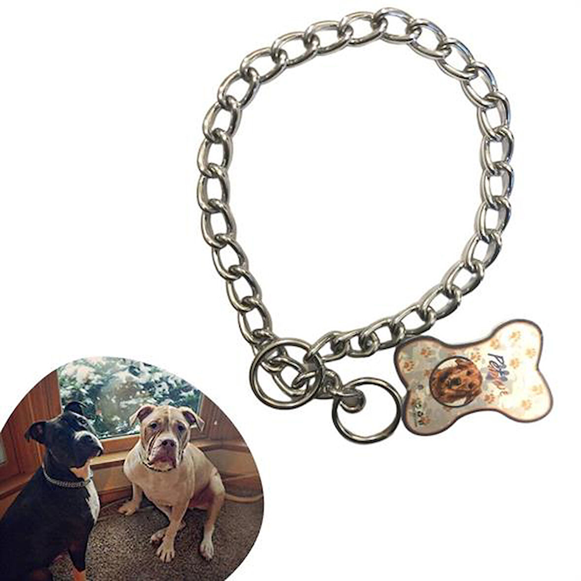 65 cm Uzunlukta Zincir Model Köpek İçin Boyun Tasması-Findit