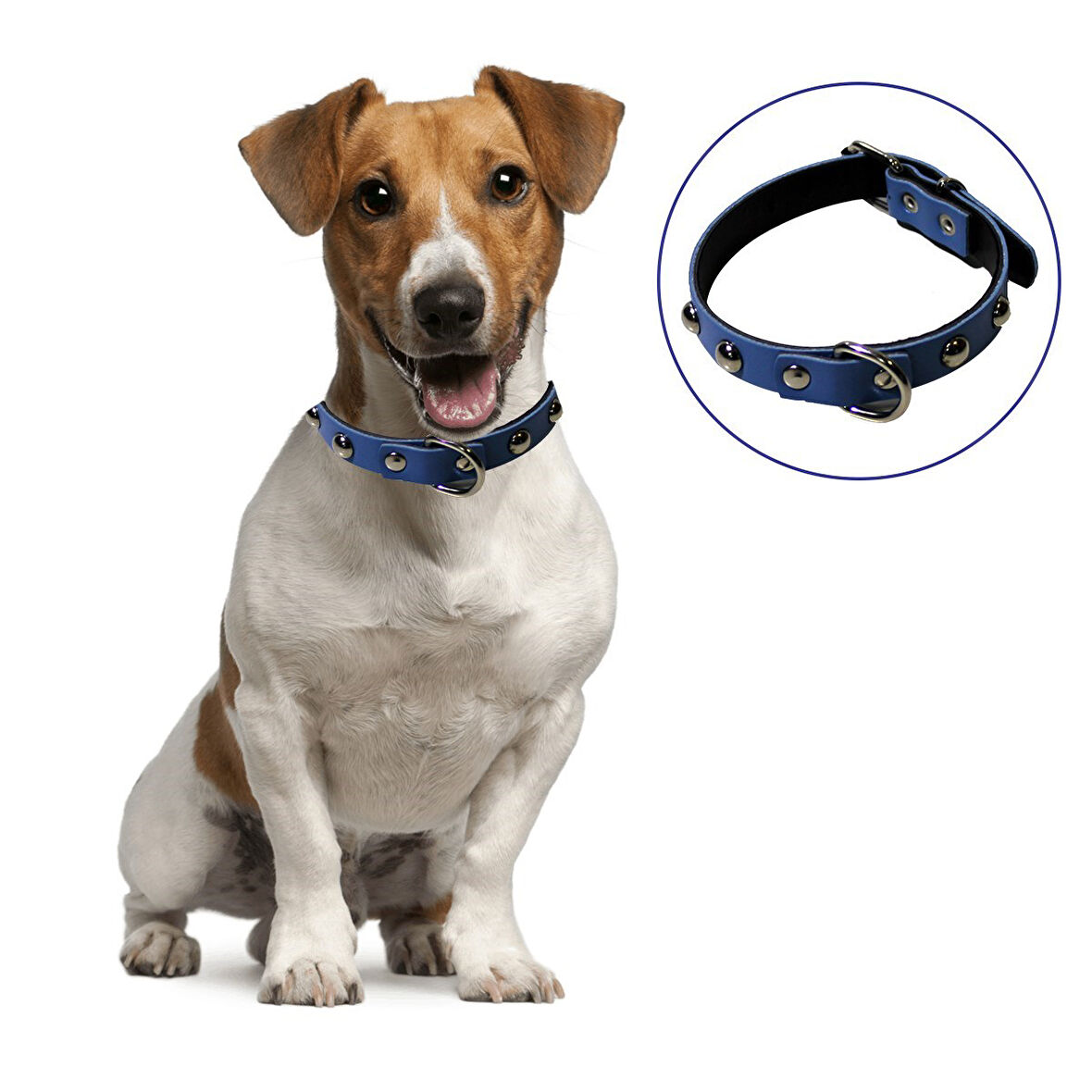 Yumuşak Dokulu Deri Köpek Gezdirme Boyun Tasması (Large)-Findit